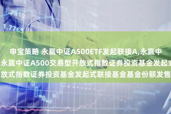 申宝策略 永赢中证A500ETF发起联接A,永赢中证A500ETF发起联接C: 永赢中证A500交易型开放式指数证券投资基金发起式联接基金基金份额发售公告