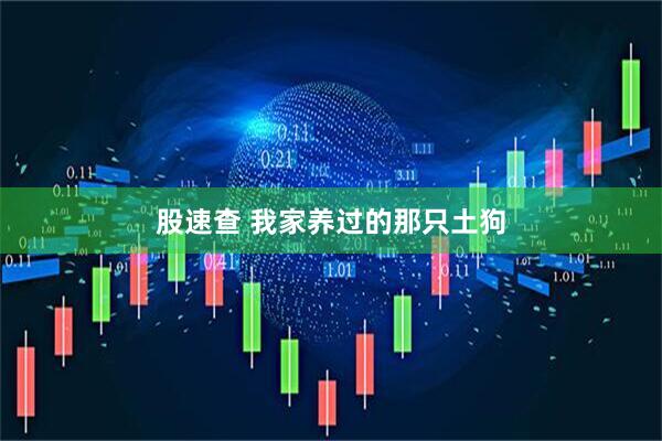 股速查 我家养过的那只土狗