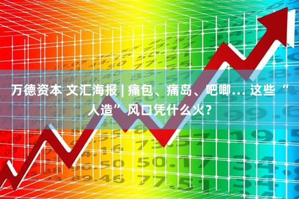 万德资本 文汇海报 | 痛包、痛岛、吧唧… 这些 “人造” 风口凭什么火？