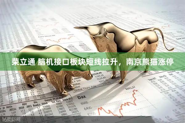 荣立通 脑机接口板块短线拉升，南京熊猫涨停